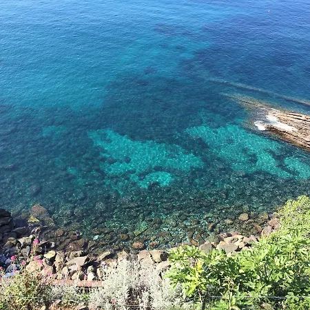 Savoia 4*
