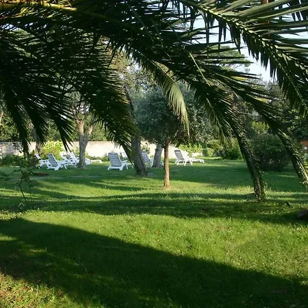 Savoia 4*